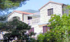 House and garden